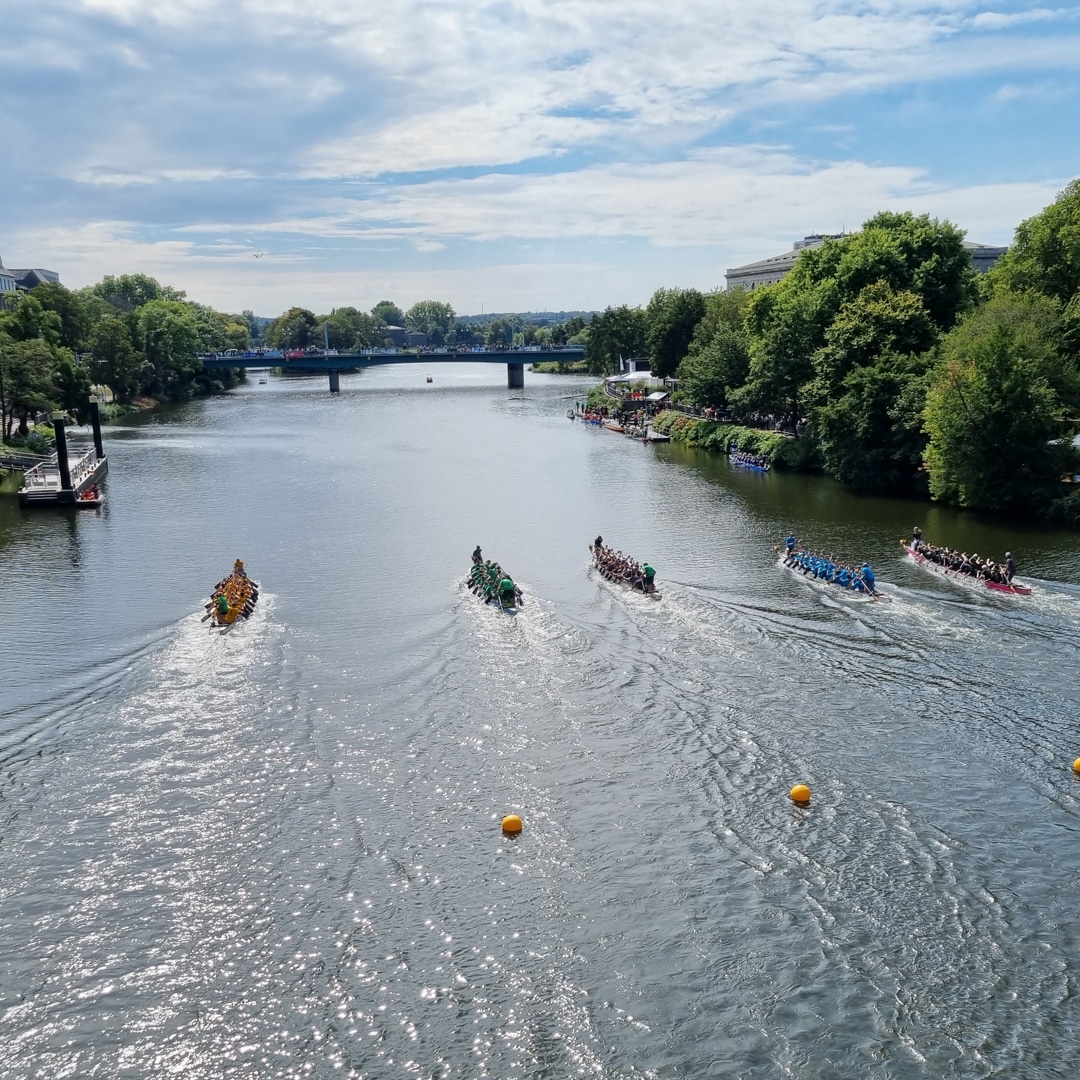 Fünf Boote Kopf an Kopf auf der Ruhr in Mülheim bei einem Rennen des Drachenbootfestivals