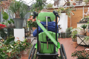 Kind im Rollstuhl befindet sich in einem Raum voller Pflanzen. Der Rollstuhl hat ein Band mit der Aufschrift "2. Tag der Kinderhospizarbeit"