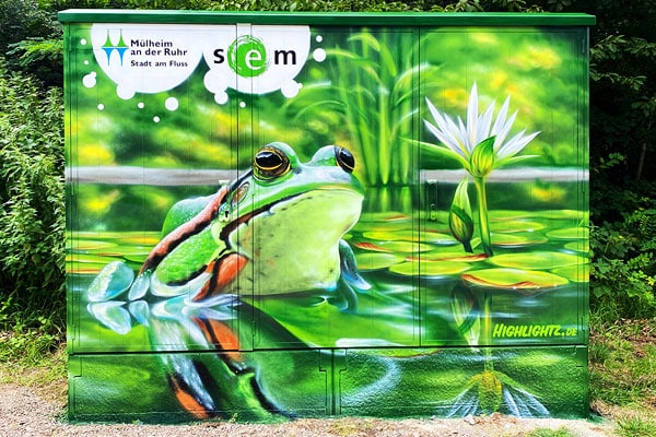 Ein bemalter Schaltschrank mit einer künstlerischen Darstellung eines inmitten von Seerosen sitzenden Frosches in einem Teich