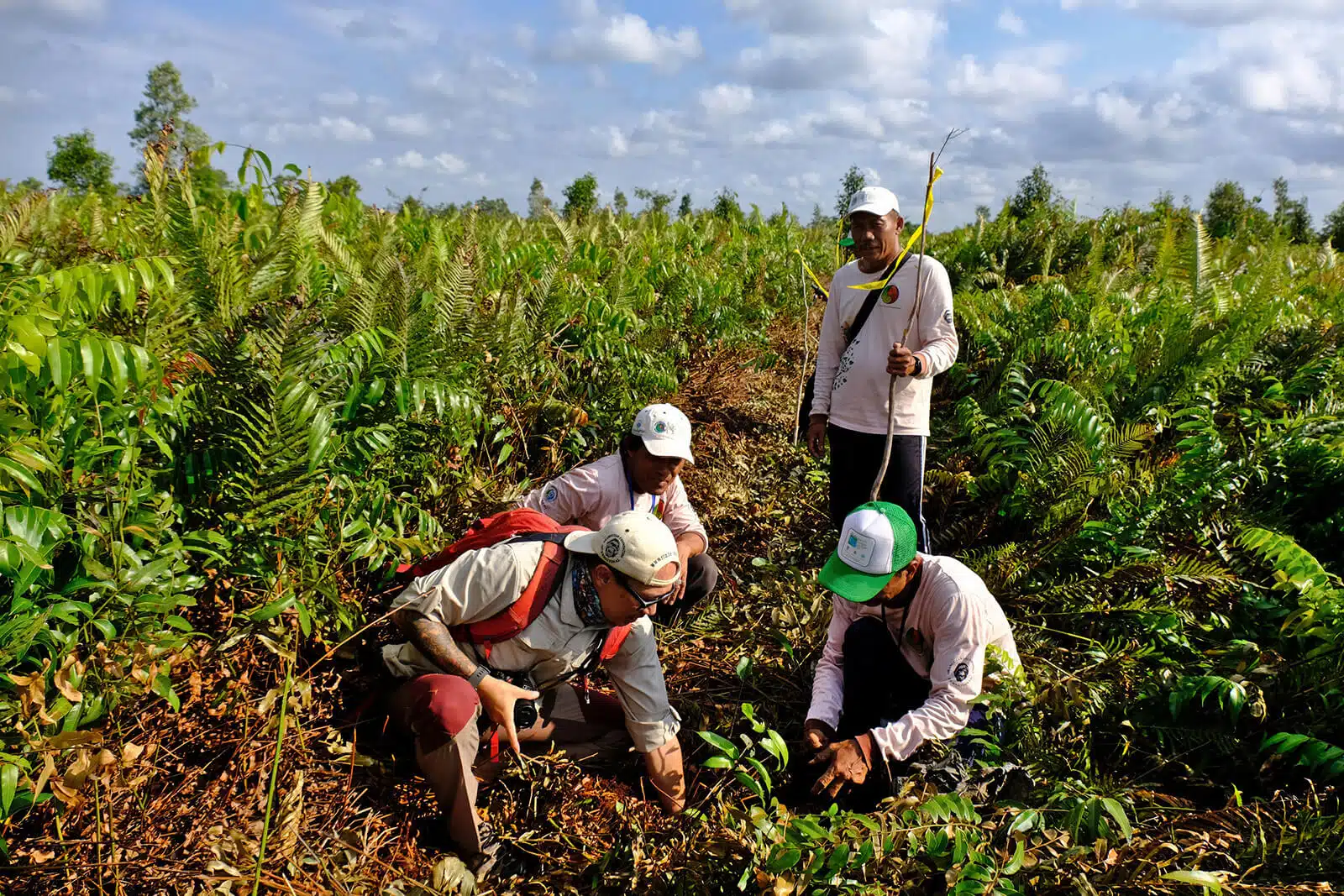Einheimische Arbeiter des Ökogas-Kompensationsprojekts Waldschutz in Borneo, Indonesien, zum Erhalt eines Mangrovenwaldes