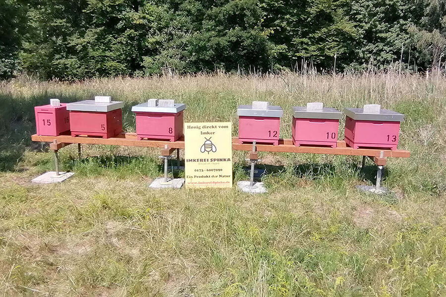 Bienenstöcke auf dem Geländer der Pumpsation Selbeck frontal