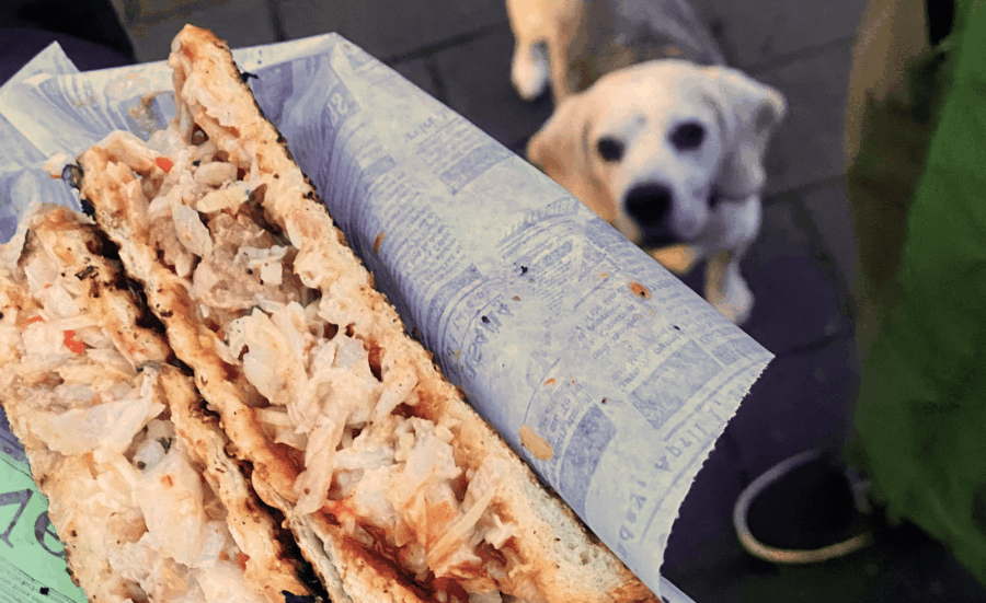 medl-Winter-Grillen 2026